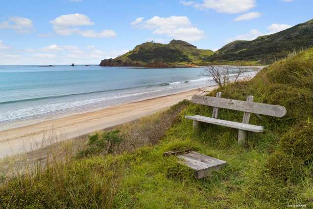 Coastal Section for Sale – Whangaparapara, Gre...