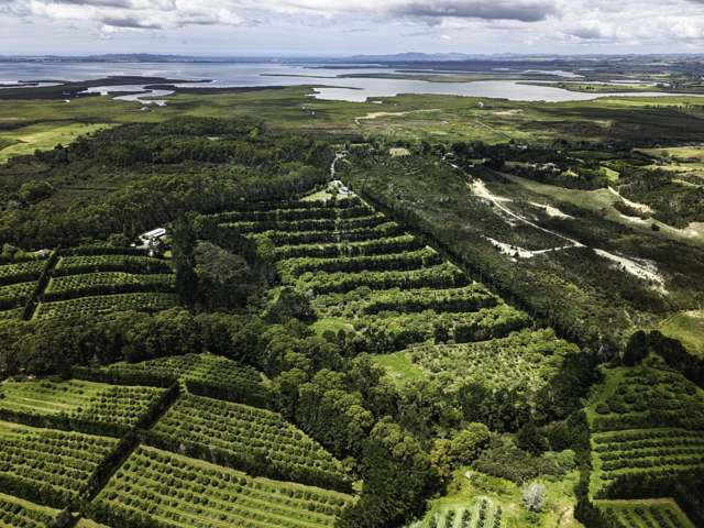 377 Paparore Road Kaitaia_2