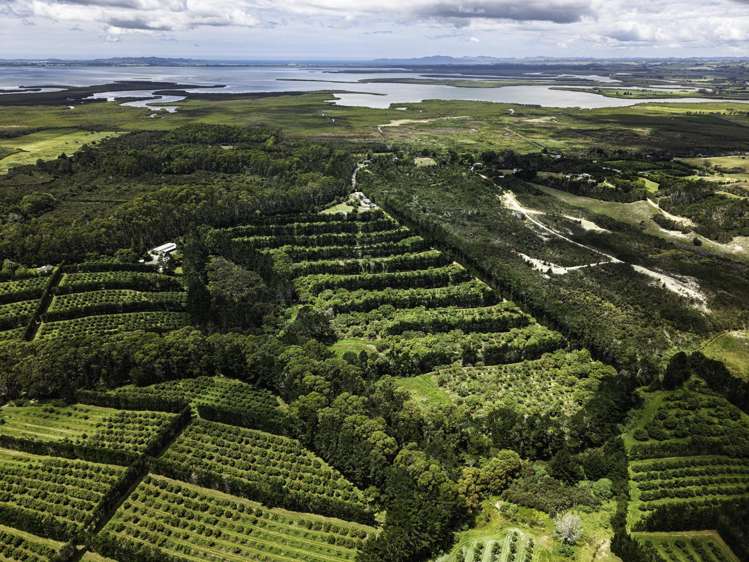 377 Paparore Road Kaitaia_1