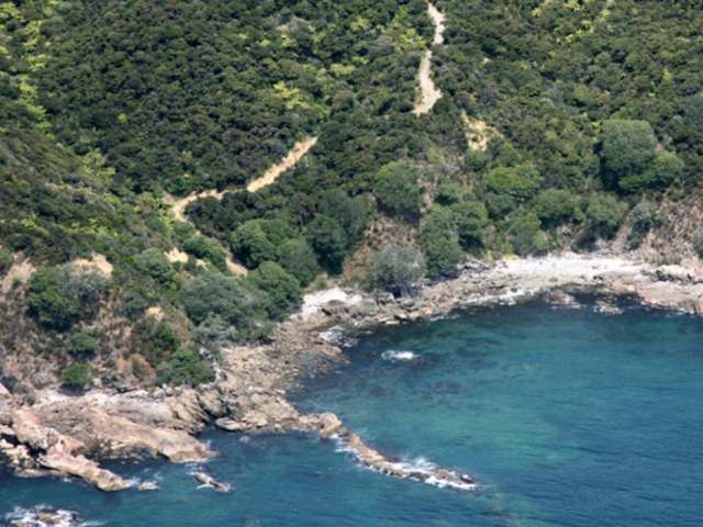 Lot 4/303 Waiaua Road Hihi_4