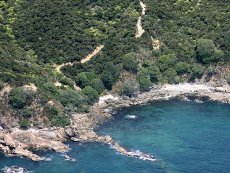 Lot 4/303 Waiaua Road Hihi_4