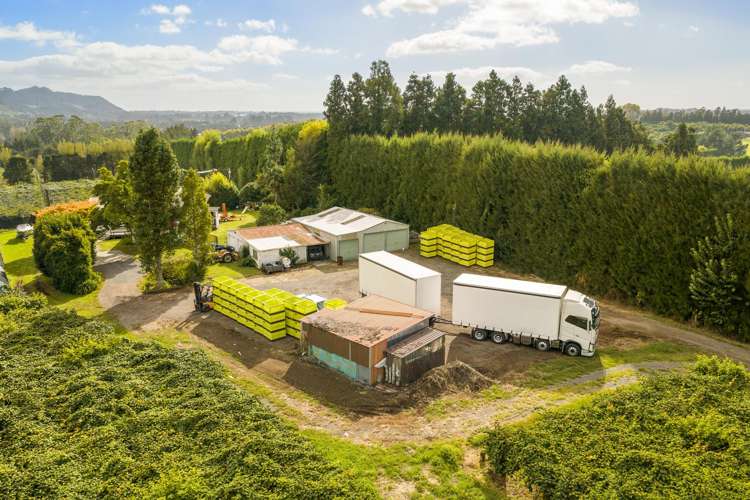 40 Woodland Road Tahawai_6