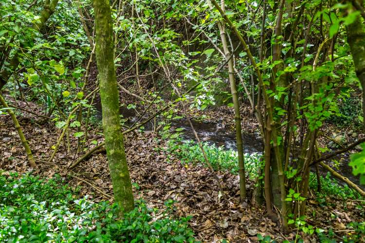 4a Kereru Grove Featherston_20