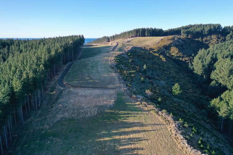 Shag Point Road Palmerston_6