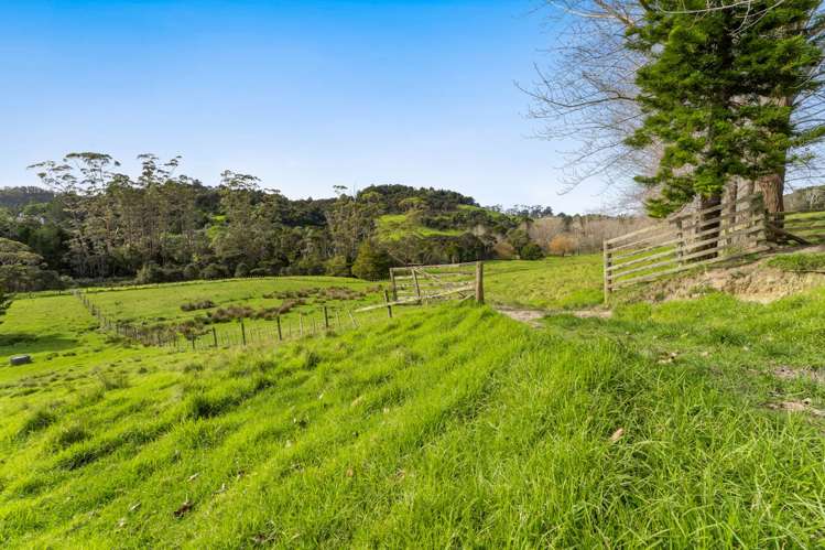 2/399 Whitmore Road Tawharanui Peninsula_16