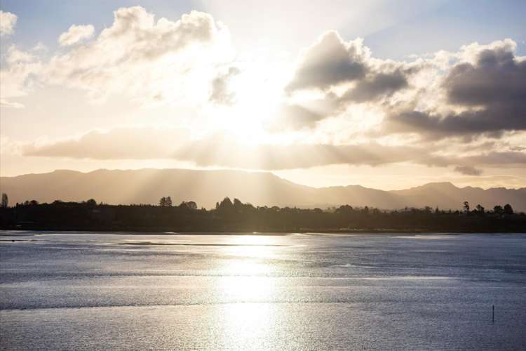23D Kings Avenue Matua_16
