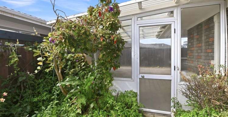 28B Grey Street 1070_6
