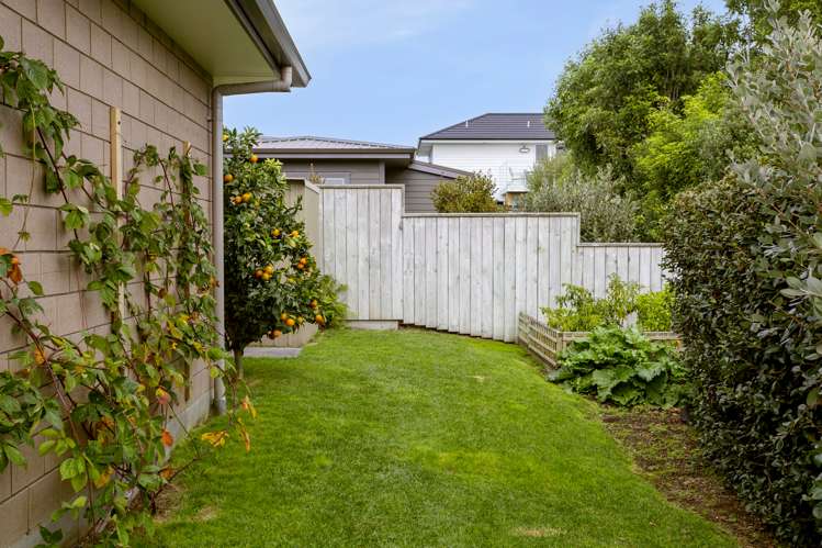 5 Facilita Avenue Wharewaka_19