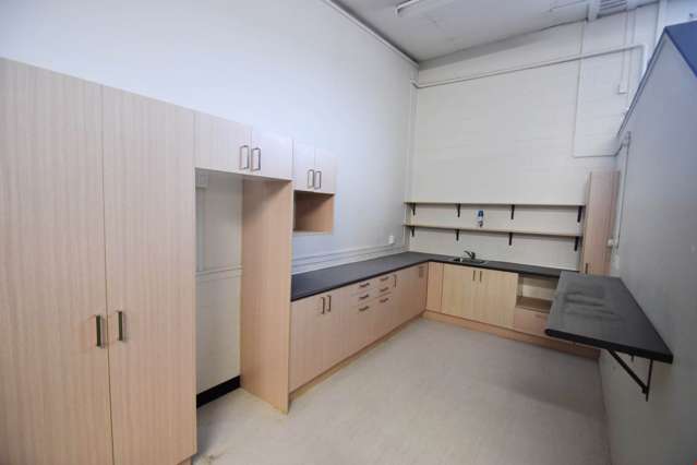 23B Pollen Street Grey Lynn_4