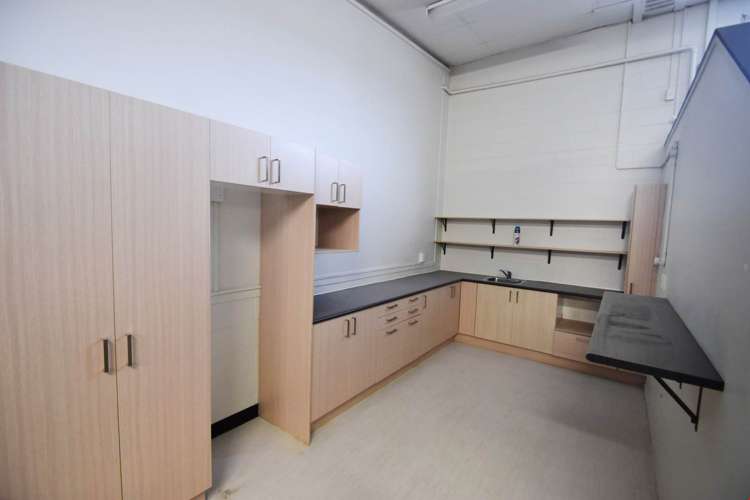 23B Pollen Street Grey Lynn_4