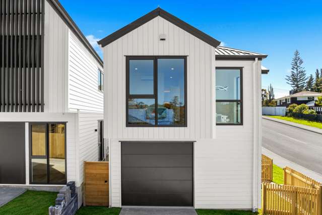 Lot 1/3 Reynella Drive Massey_1