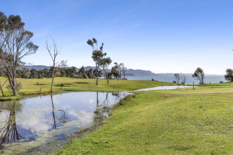 1232 Takaka-Collingwood Highway Onekaka_30