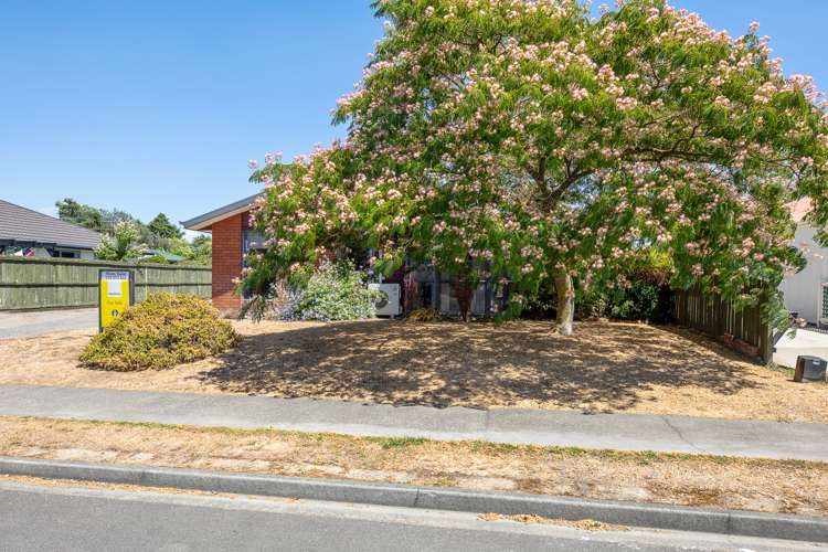 3 Cashmere Grove Witherlea_17