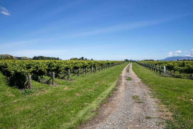 460 Glasnevin Road Amberley_26