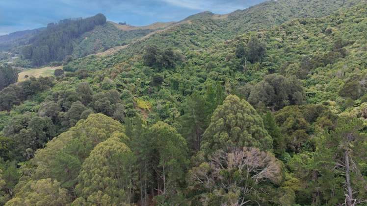 154a Takaka Hill Highway, Riwaka Motueka_14