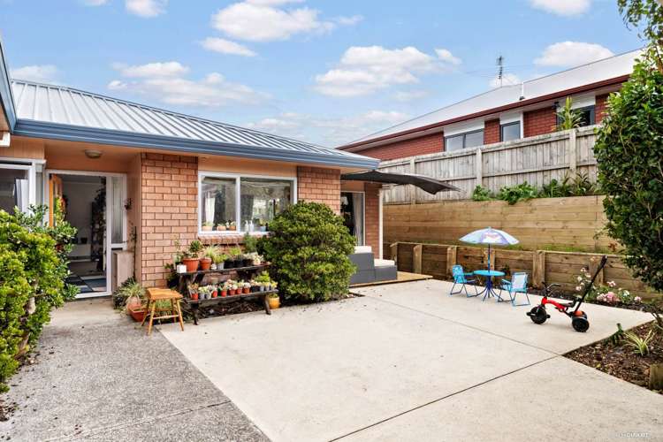 19A Collie Road Pukekohe_1