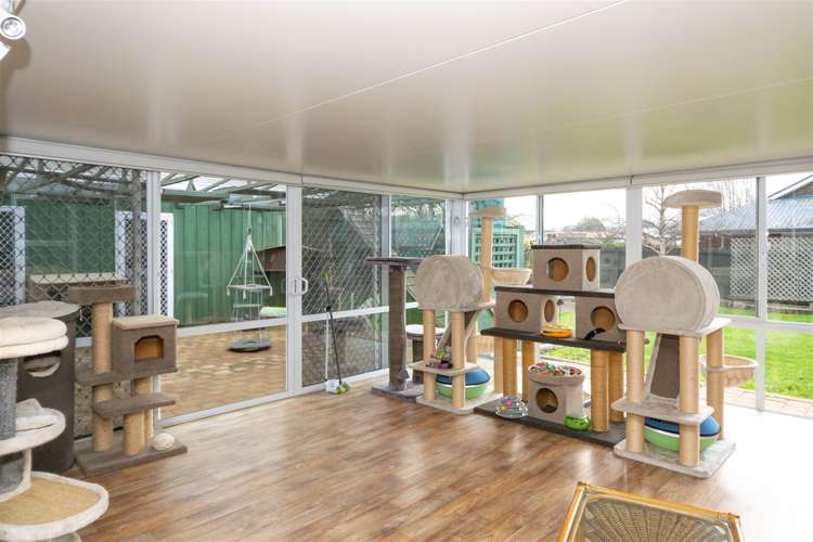 11a Grant Place Witherlea_11