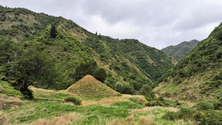 7957 State Highway 2 Opotiki Surrounds_22