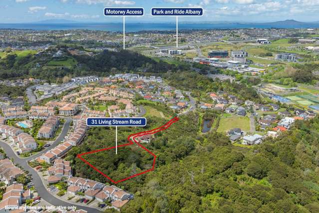 31 Living Stream Road Albany Heights_4