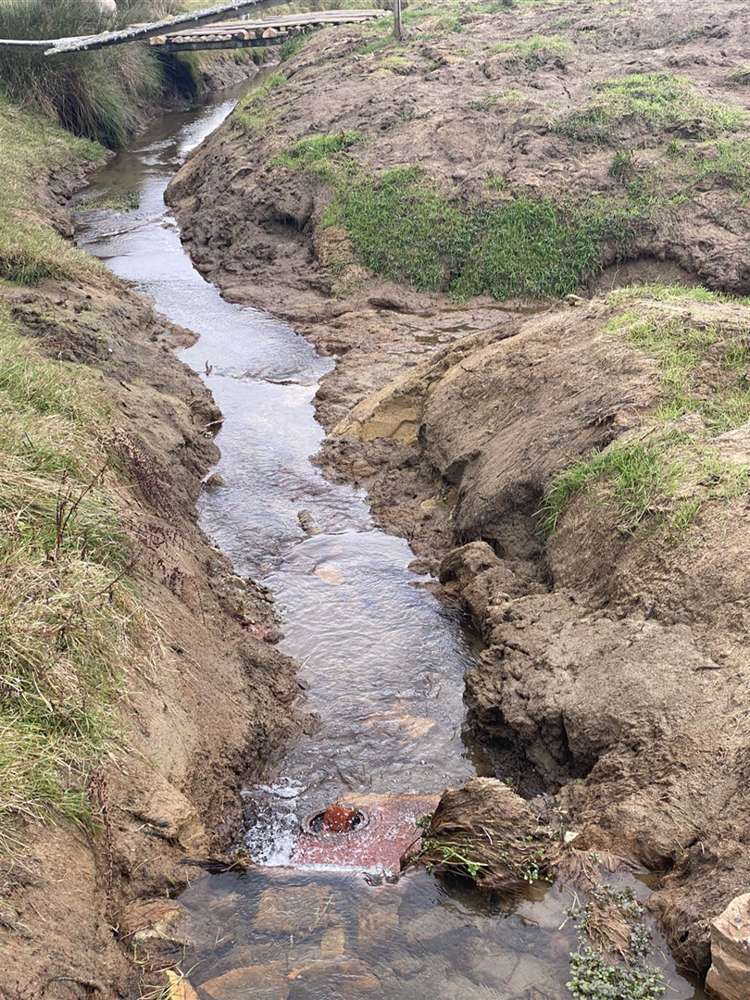 1219 Pungarehu Road Piopio_3