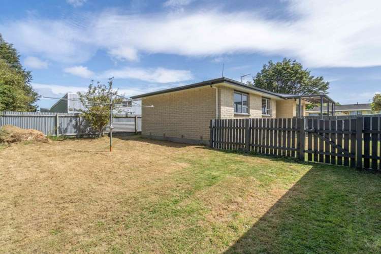 171 Ward Street Hargest_25