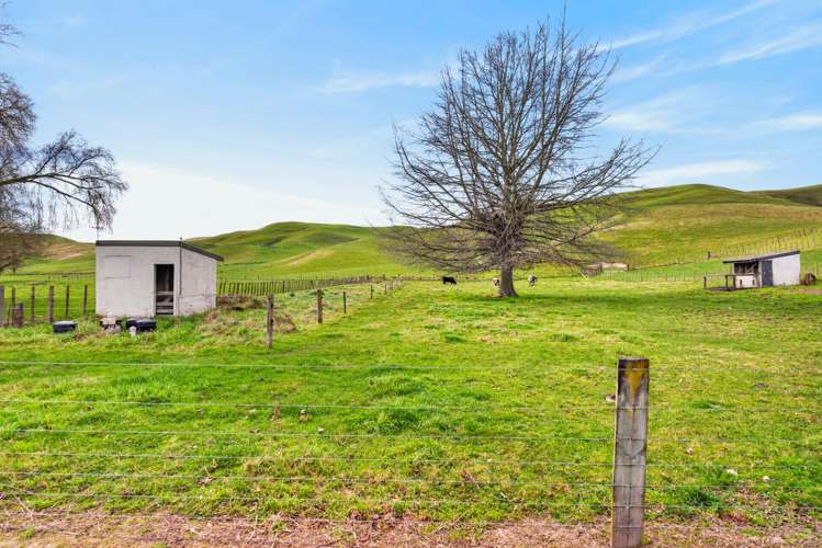 326 Kawera Road Pukehamoamoa_19