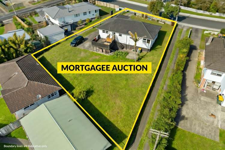 94 Harrington Road Henderson_3