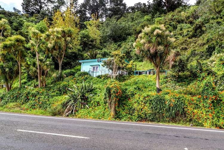 116 Thames Coast Road Thames_30