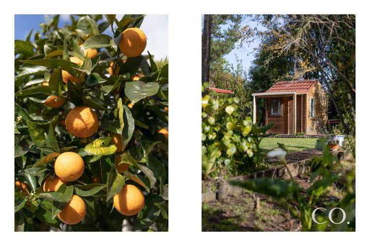 105 Marshall Avenue Greerton_15