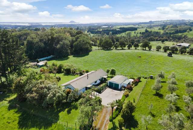 715 Esdaile Road Whakamarama_3