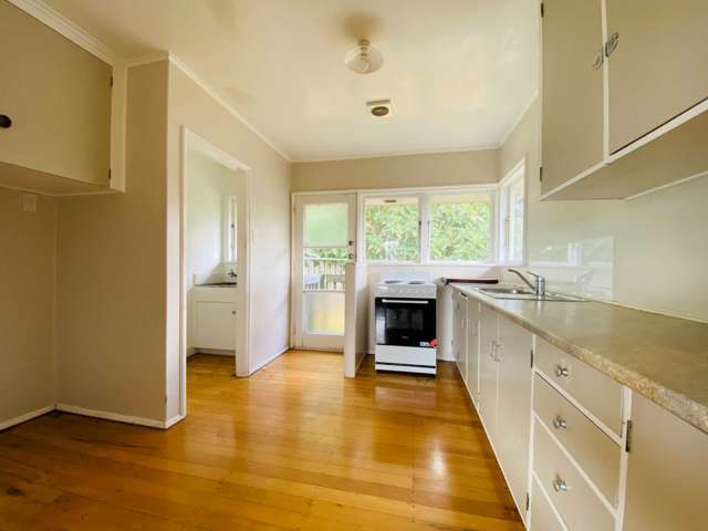 12A Frank Hewitt Street Pukekohe_1