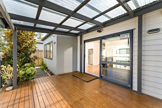 10b Kaimai Avenue Massey_2