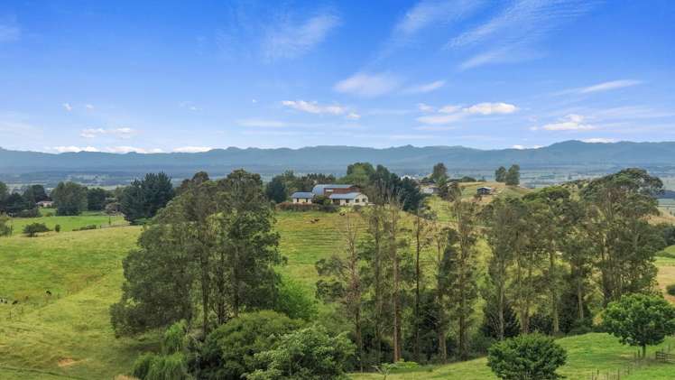 660 Quine Road Morrinsville_29