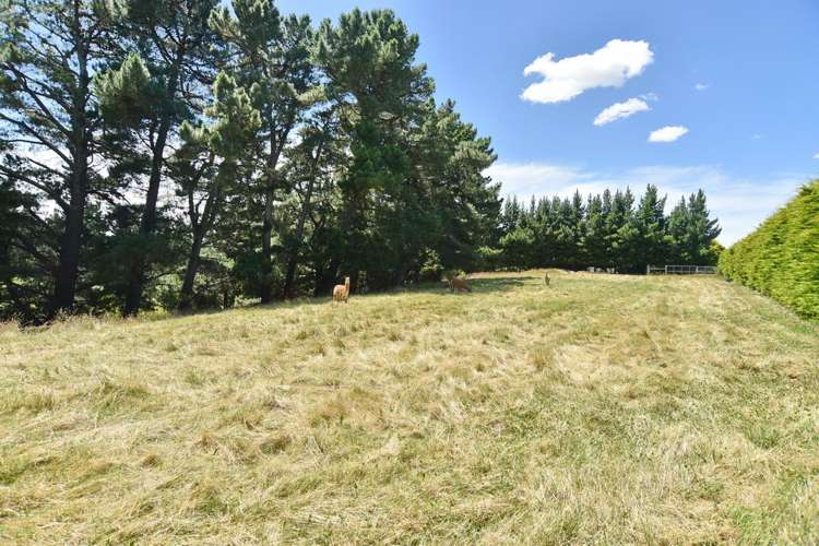 1392 Oxford Road Cust_28