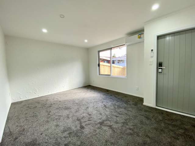 3/117 Bolton Street New Lynn_3