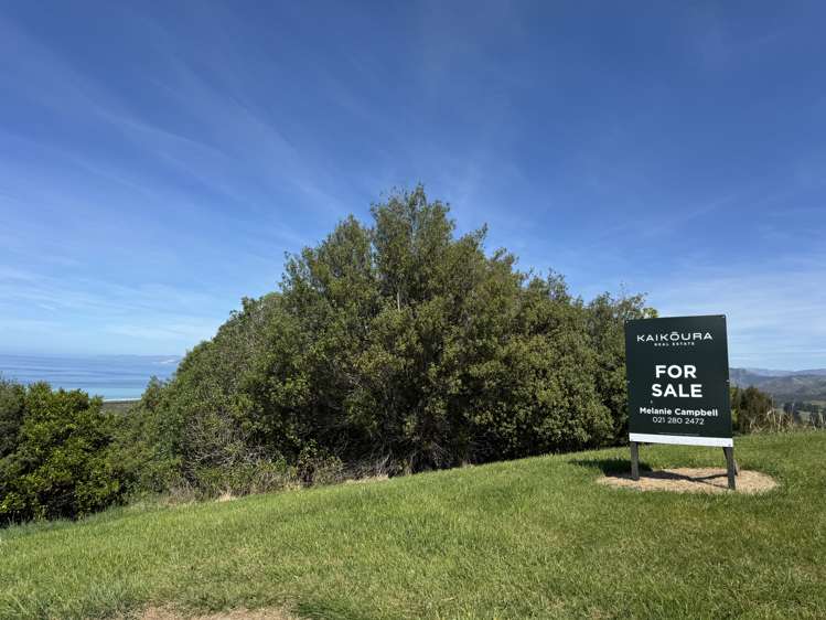 Ocean Ridge Kaikoura_14