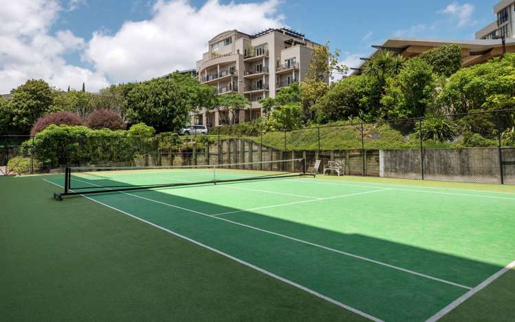 Gd/18 Joseph Banks Terrace Remuera_6