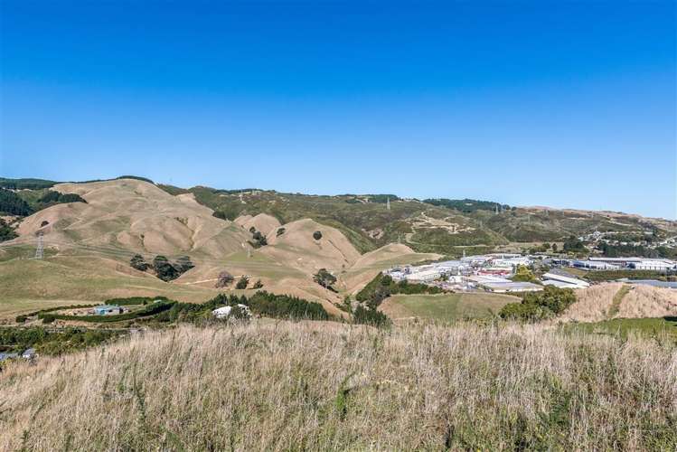 72 Bing Lucas Drive Tawa_16