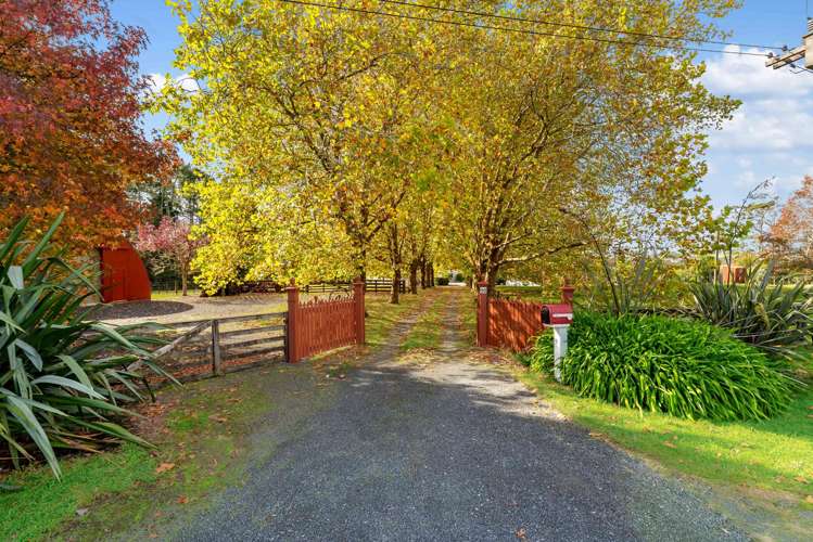 90 Wades Road Whitford_25