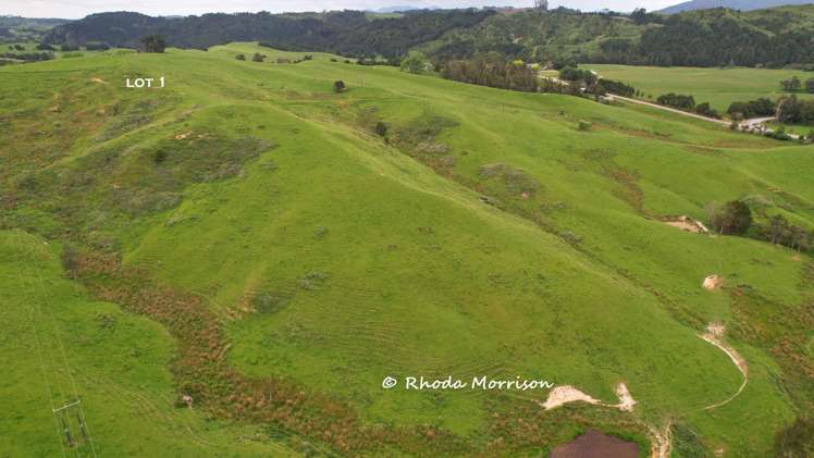 Golden Stairs Rd Maungaturoto_23