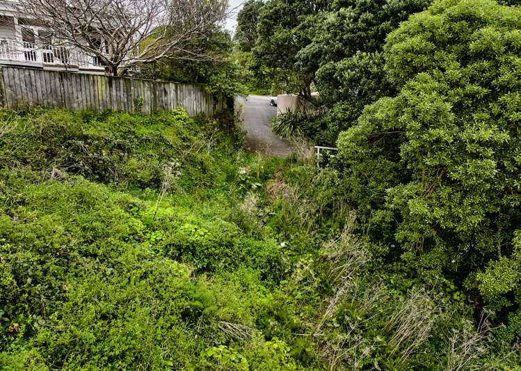 75 Camperdown Road Miramar_5