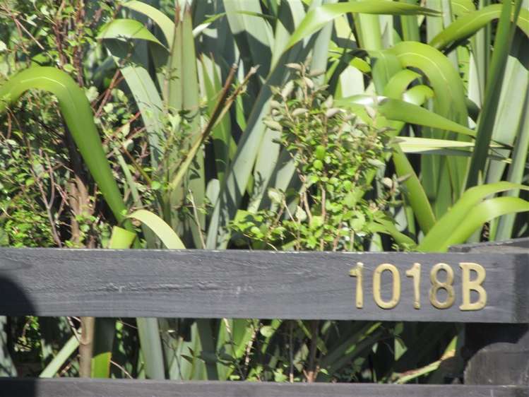 1018b Camerons Line Feilding_19