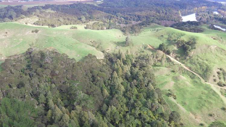 157 Mercer Ferry Road Mercer_14