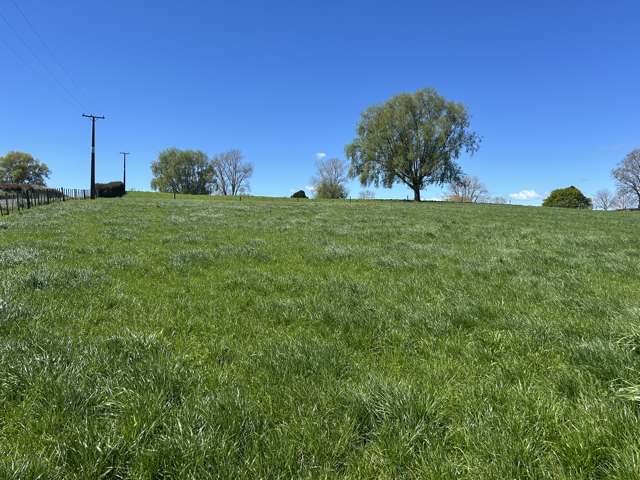 162 Bowman Road Te Awamutu_4
