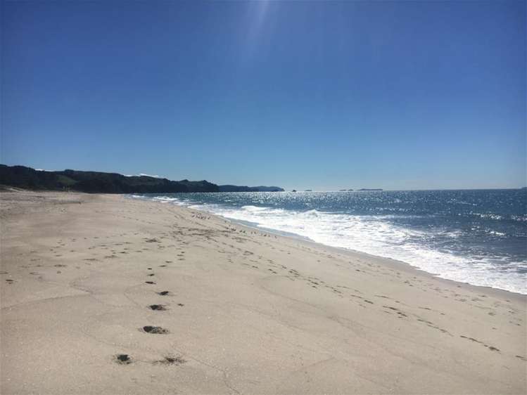 11 Mako Avenue Whiritoa_14