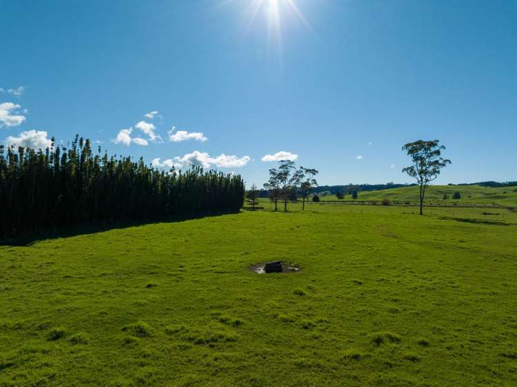 89 Marshall Road_5