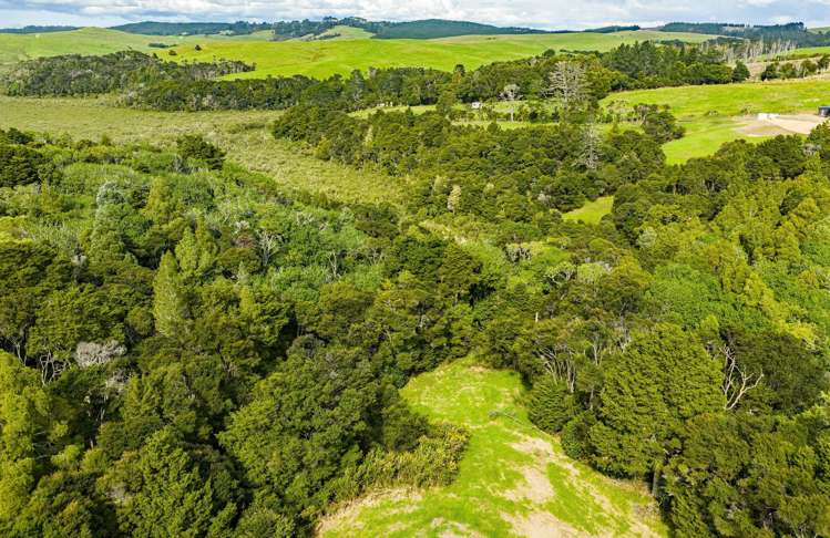 308B Arapaoa Road Tinopai_26