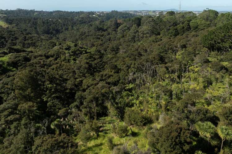 420 Dairy Flat Highway Albany Heights_5