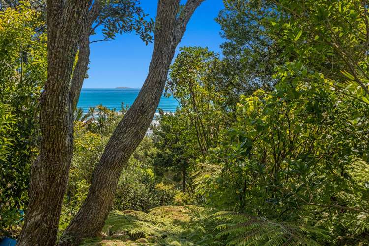 16 Pohutukawa Avenue Ohope_2