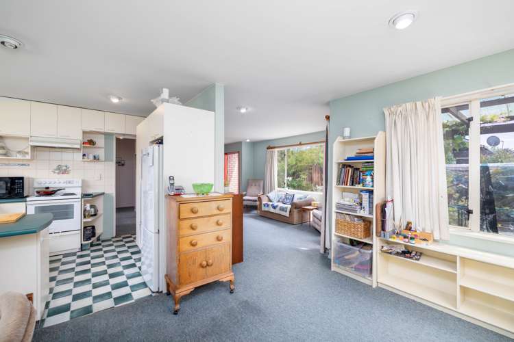 17 Mcleish Lane Spreydon_7